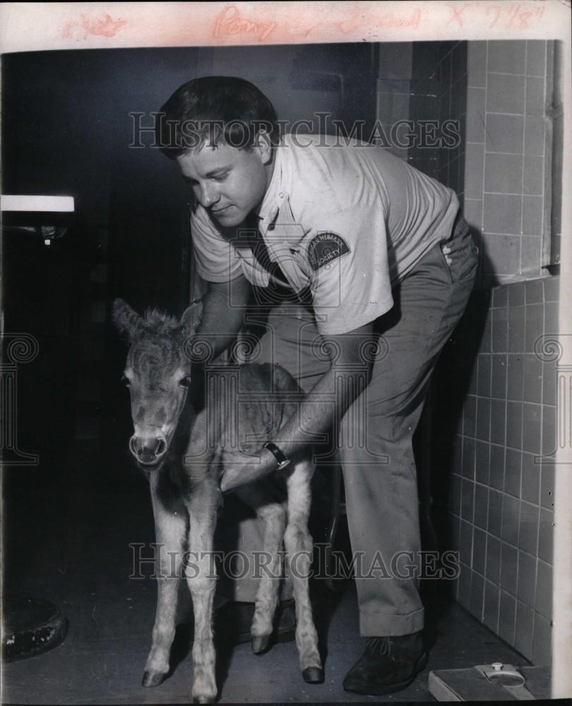 1966 Press Photo A hungry Orphan - Historic Images