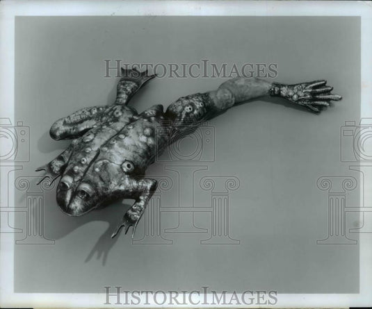 Press Photo Frog Rattle Designed By DeMartin-Lemke - nee79373 - Historic Images