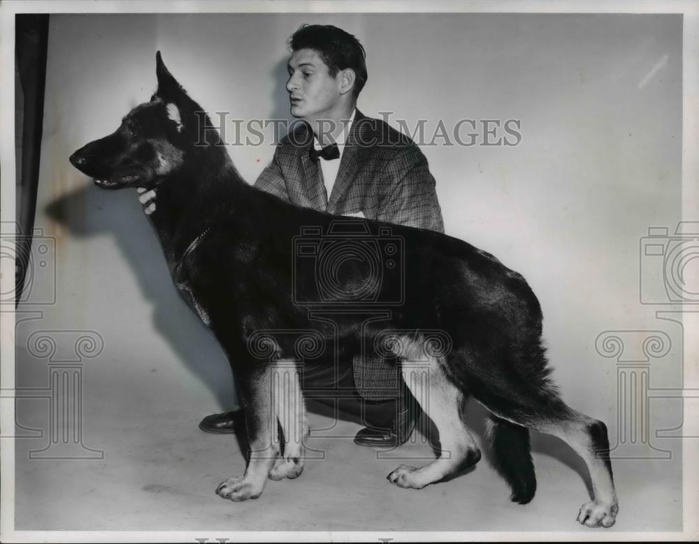 1962 Press Photo German Sheppard owned by Arbir Clark of Lakewood. - Historic Images