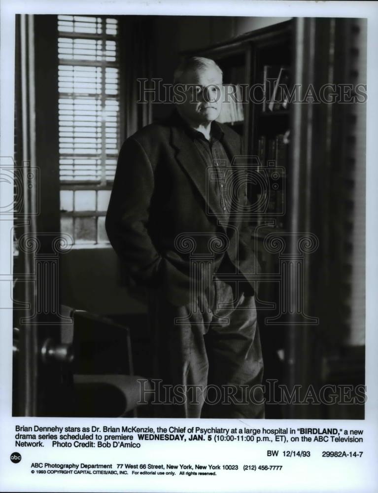 1993 Press Photo Brian Dennehy stars as Brian McKenzie in Birdland - cvp59723 - Historic Images