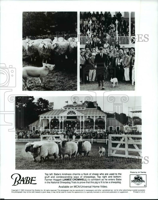 1996 Press Photo James Cromwell stars in Babe - cvp59301 - Historic Images