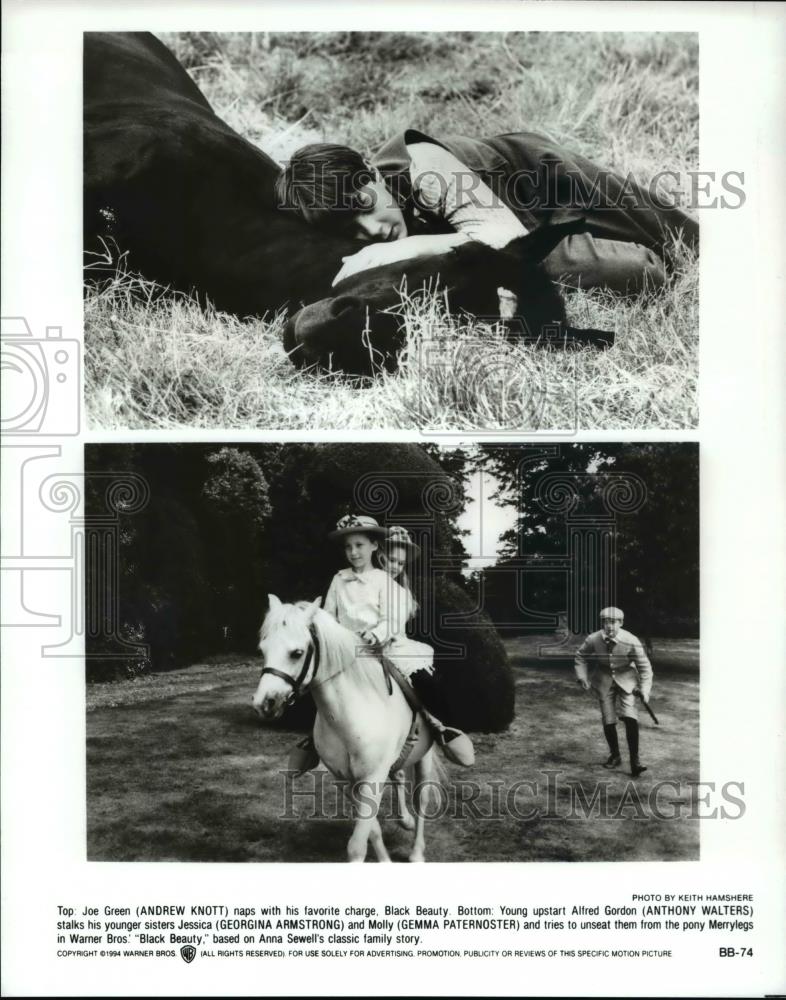 Press Photo Andrew Knott, Anthony Walters &amp; others in Warner Bros. Black Beauty - Historic Images