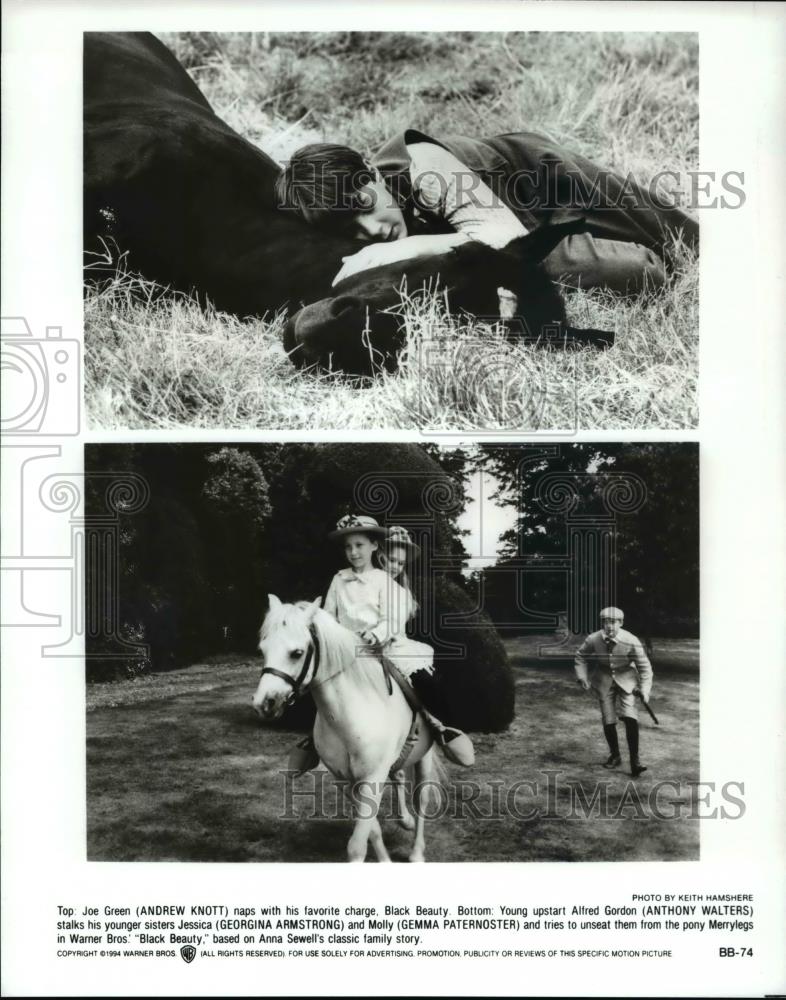 Press Photo Andrew Knott, Anthony Walters & others in Warner Bros. Black Beauty - Historic Images