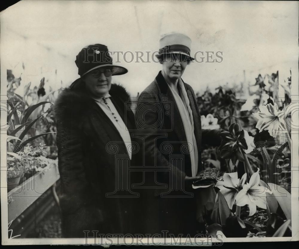 1926 Press Photo Mrs William M Jardino Wife of the Secretary of Agriculture - Historic Images