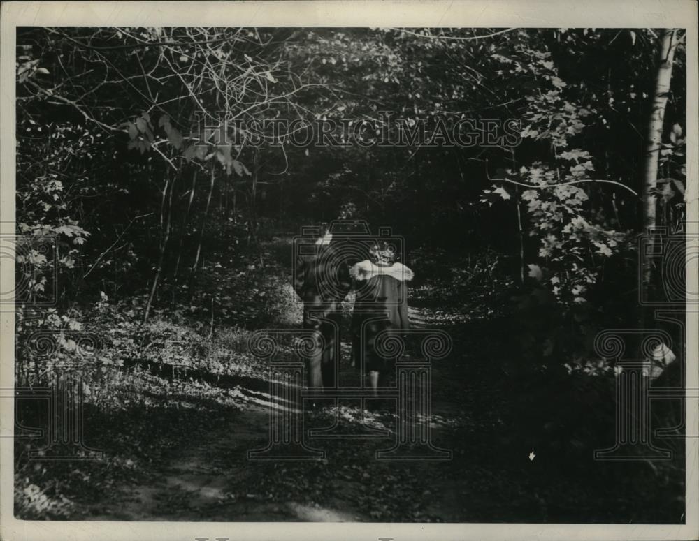 1939 Press Photo Woodland walk - nef53778 - Historic Images