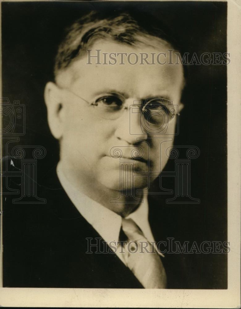 1933 Press Photo Harold Ickes Secretary of Interior Illinois - nef36472 - Historic Images