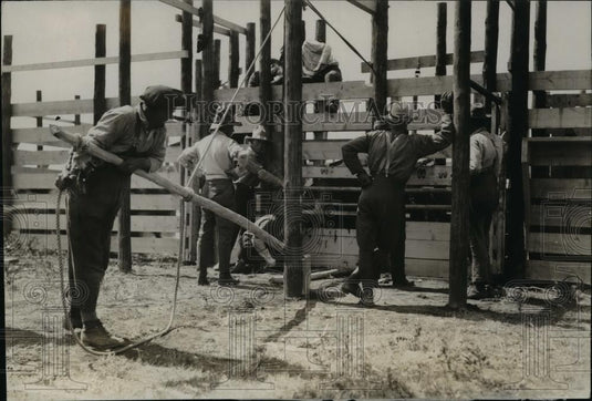 1925 Press Photo Branding Buffalo at Wainright, Buffalo Park, Alberta, Canada - Historic Images