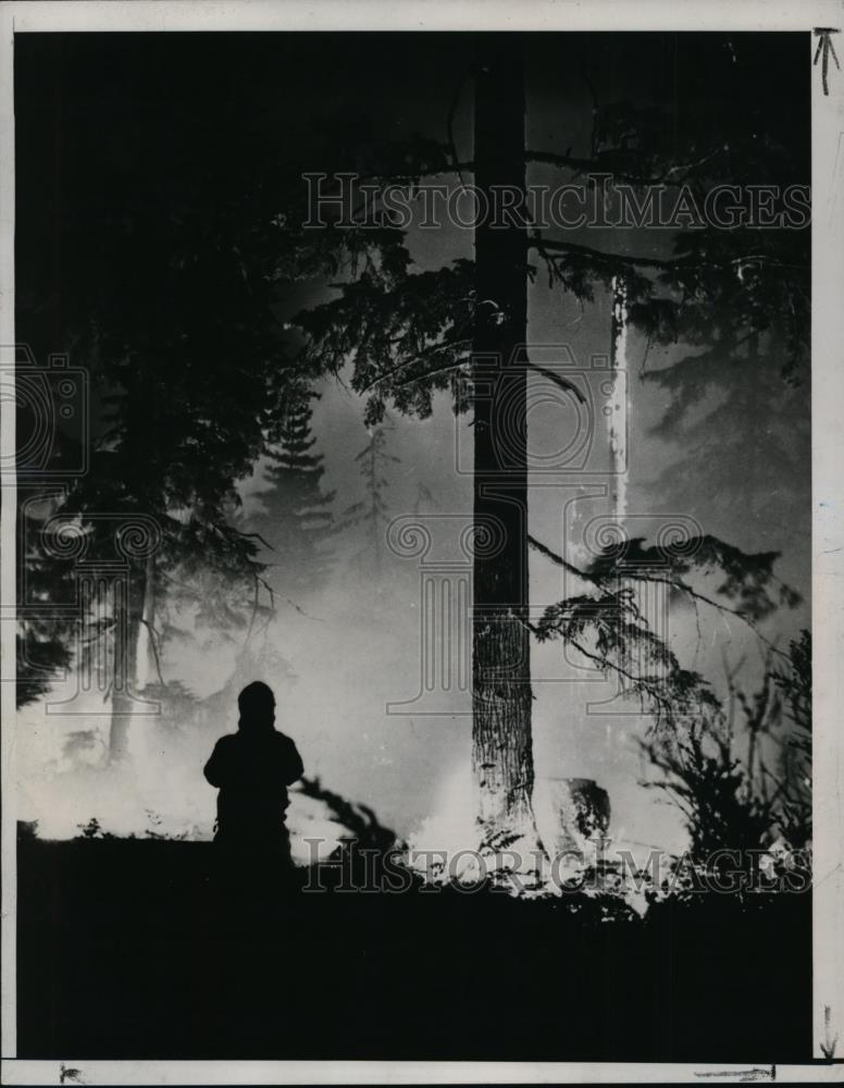 1938 Press Photo Forest Fire in the Courtenay Area on Vancouver Island - Historic Images