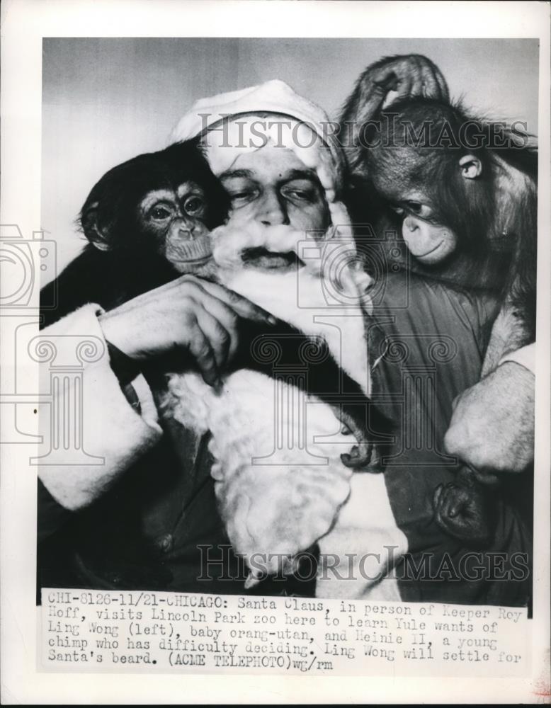 1950 Press Photo Santa Visits Lincoln Park Zoo Residents Ling Wong &amp; Heinie II - Historic Images