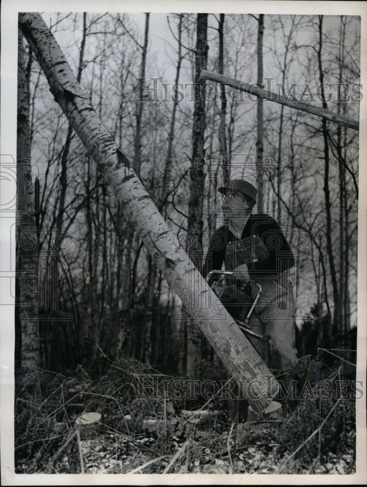 1962 Press Photo Loggers Frank Washburn and His Team Oppose Retirement Plans - Historic Images