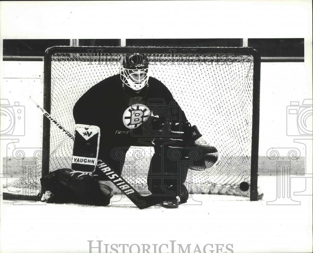 1994 Press Photo Bruin Goalie Player Vincent Riendeau - nef64559 - Historic Images