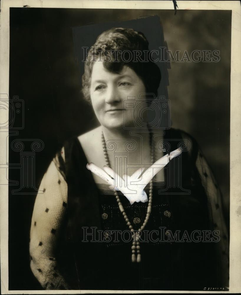 1924 Press Photo Mrs. John Enos Quinn of Women&#39;s Democratic National Committee - Historic Images