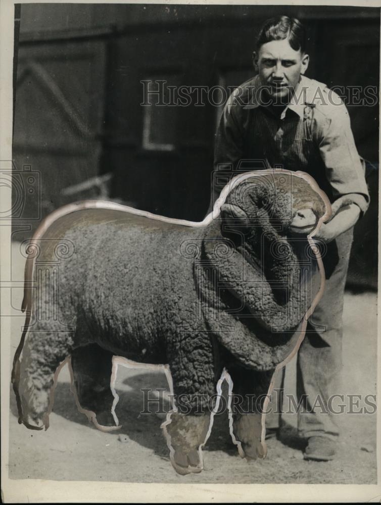 1929 Press Photo Rambouillett Ram Sold for $1525, Salt Lake City - neo01131 - Historic Images