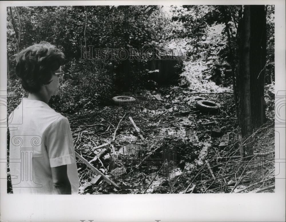 1966 Press Photo Sewer Discharge near Metropolitan Park Drive in West Park area - Historic Images