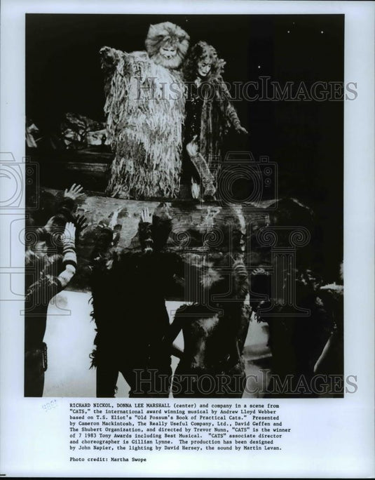 1988 Press Photo Richard Nickol, Donna Lee Marshall in a scene from the Cats - Historic Images