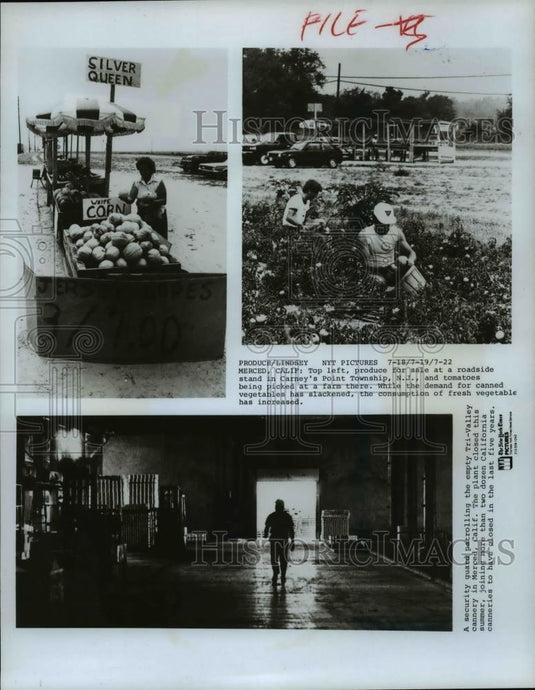 1986 Press Photo Demands for fresh vegetables and canned vegetables - cvb14598 - Historic Images