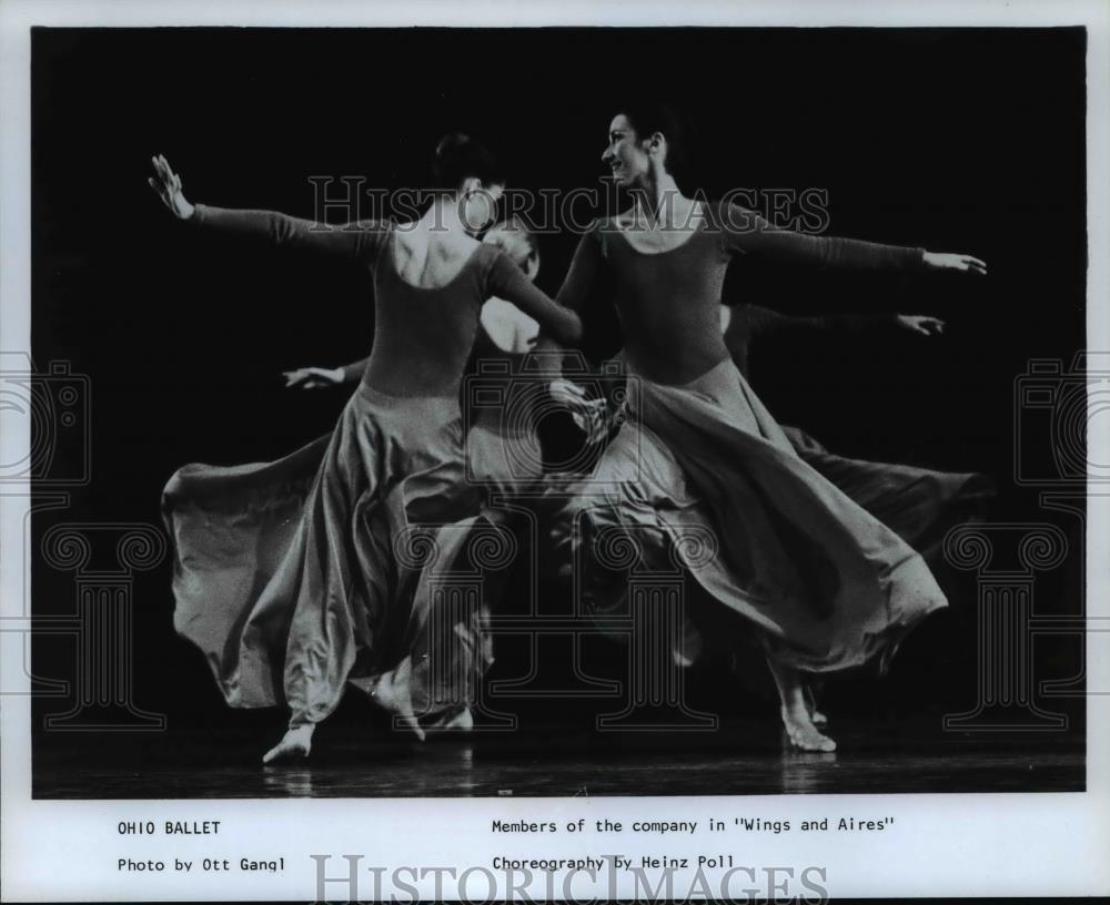 1987 Press Photo Members of the Ohio Ballet in Wings and Aires - cvb14967 - Historic Images