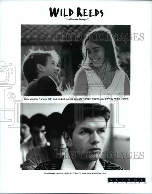 Press Photo Scenes from the film Wild Reeds, a film by Andrei Techine - Historic Images