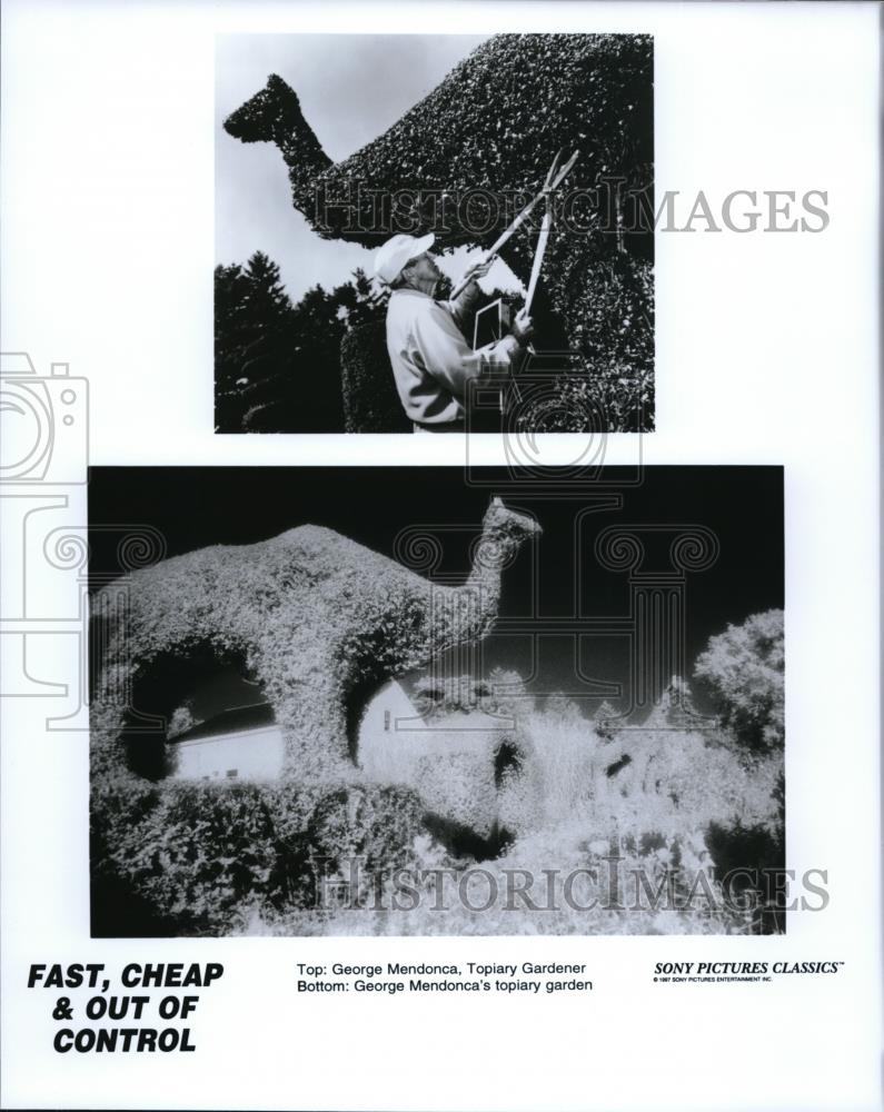 Press Photo George Mendonca in Fast, Cheap & Out Of Control - cvp43340 - Historic Images