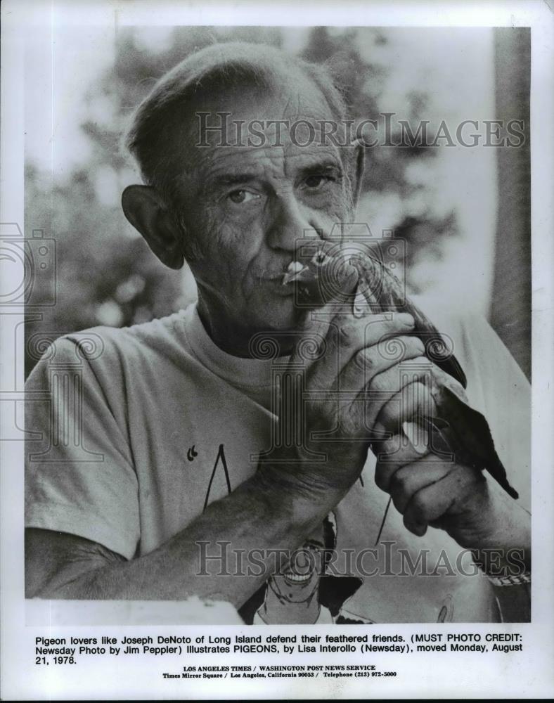 1978 Press Photo Pigeon lovers like Joseph DeNoto of Long Island - orb45606 - Historic Images