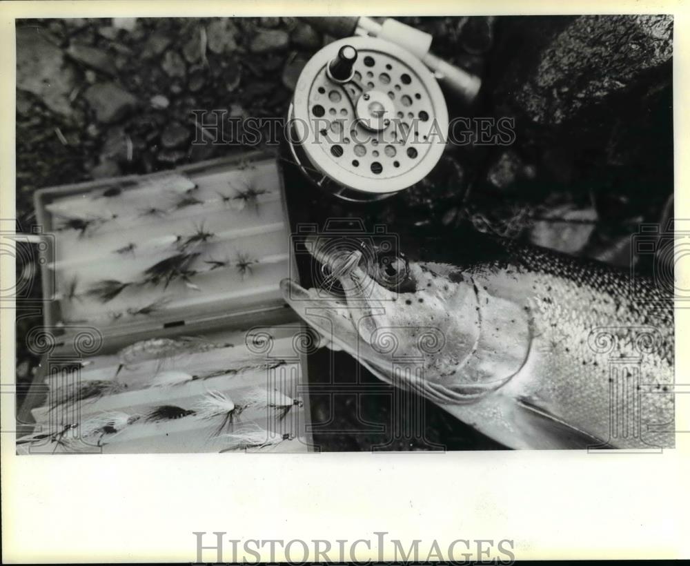 1983 Press Photo Salmon fishing-Salmon River in October - orb46080 - Historic Images