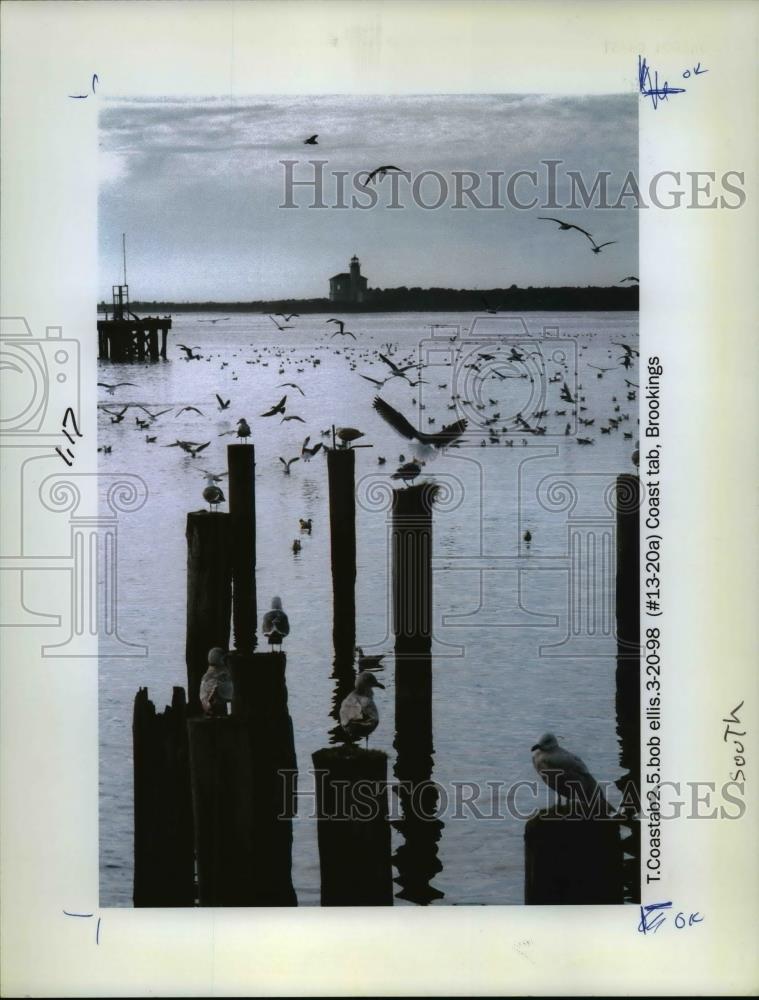 1998 Press Photo A scene at the Oregon Coast - orb49162 - Historic Images