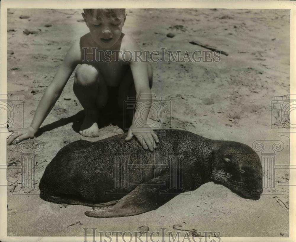1937 Press Photo Boy on beach w/ young sealion - orb49617 - Historic Images