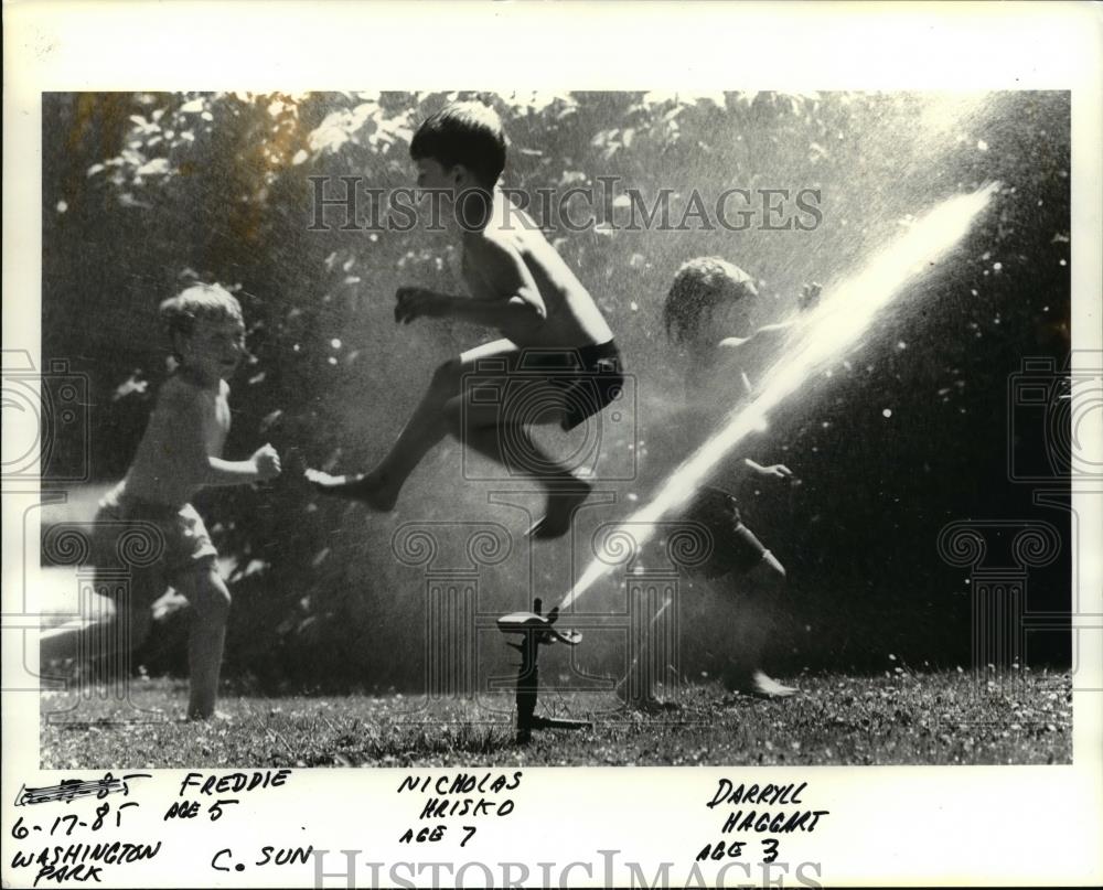 1985 Press Photo Washington Park-summer fun - orb53086 - Historic Images