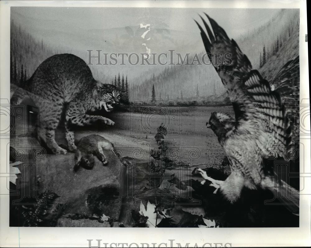 1973 Press Photo Mural at Tillamook County Pioneer Museum - orb53450 - Historic Images