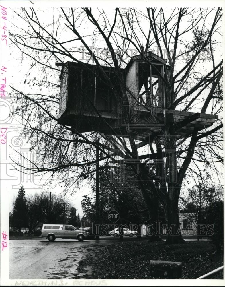 1985 Press Photo City officials ordered removal of tree house in Gerrish's yard - Historic Images