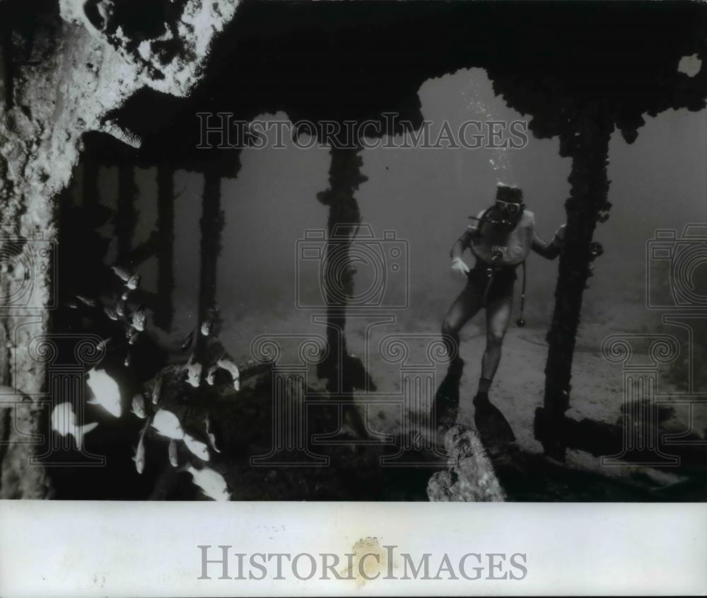 1980 Press Photo True beauty of St. Thomas beneath sea's surface - orb59657 - Historic Images