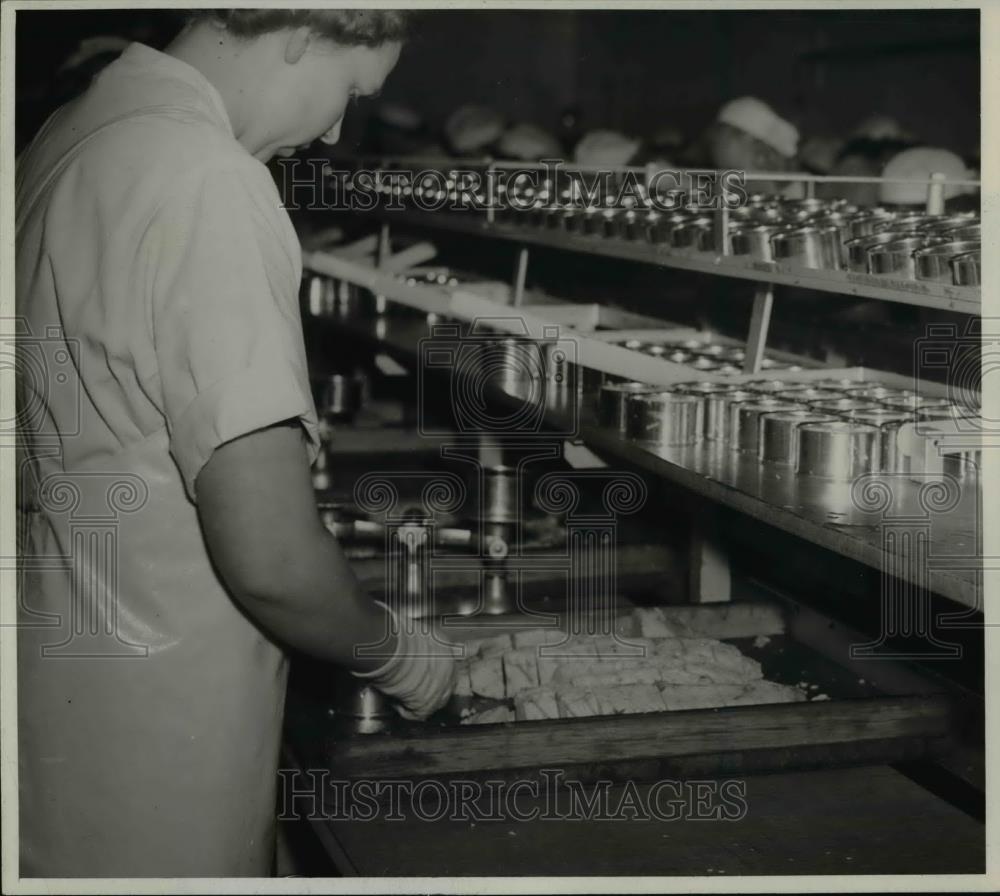 Press Photo Employee of the Astoria Tuna Packing at Columbia River - orb59870 - Historic Images