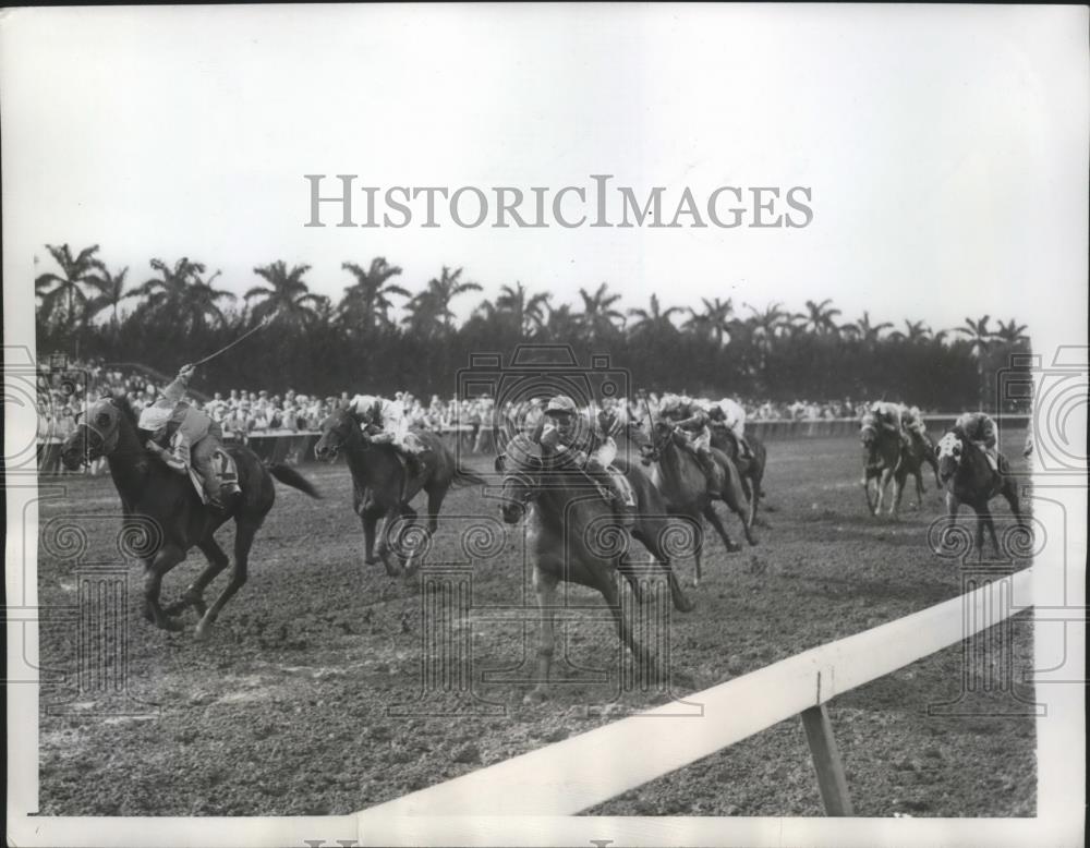 1946 Press Photo Jockeys boot their horses home in the fitth race at Hialeah - Historic Images