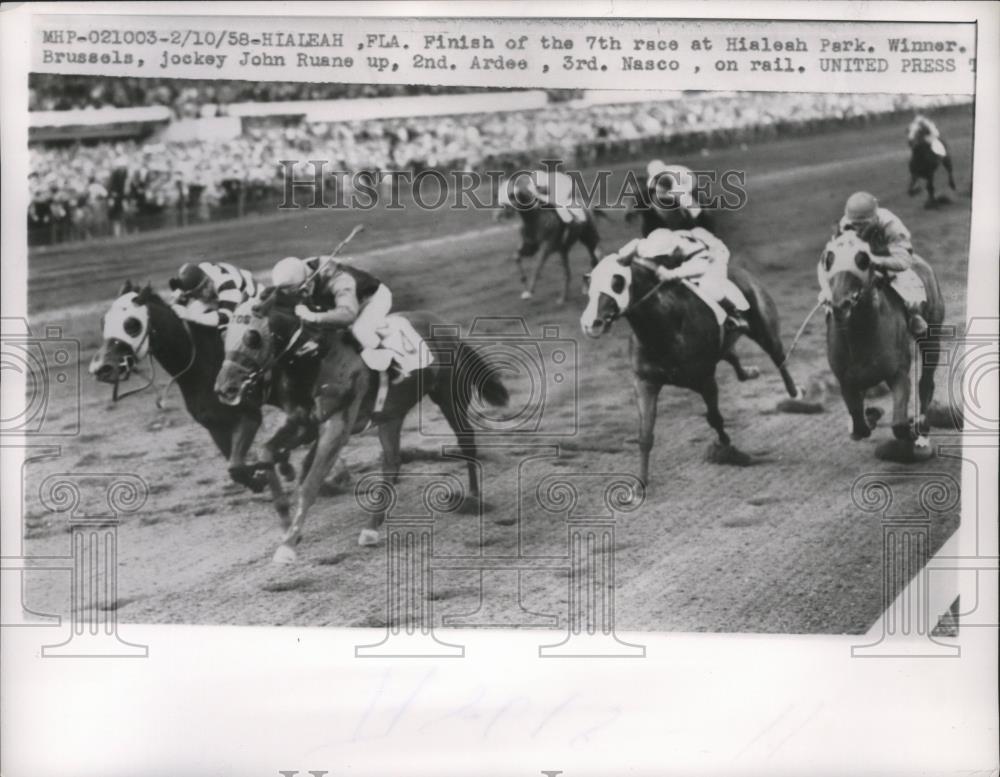 1958 Press Photo Brussels finish of the 7th Race at Hialeah Race Track - Historic Images