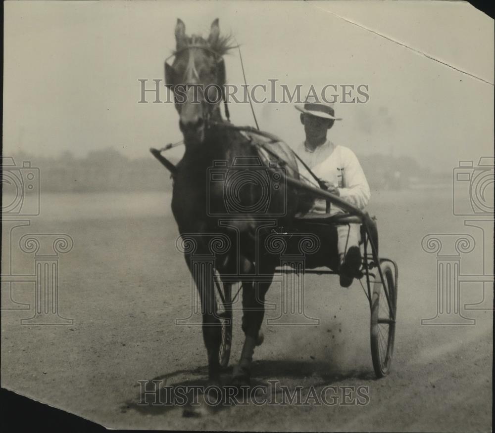 1921 Press Photo Trotter horse &amp; driver at practice at a track - net31146 - Historic Images