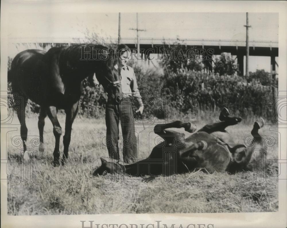 1938 Press Photo Race horses Closing Time and Hadge playing in pasture - Historic Images