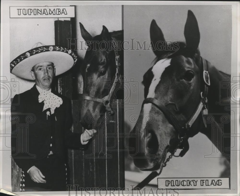 1946 Press Photo Tupinamba and filly Plucky Flag win Mexico&#39;s triple crown - Historic Images