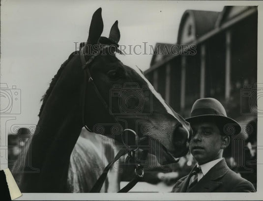 1929 Press Photo Racehorse Pandora Box won at Lincoln races - net33673 - Historic Images