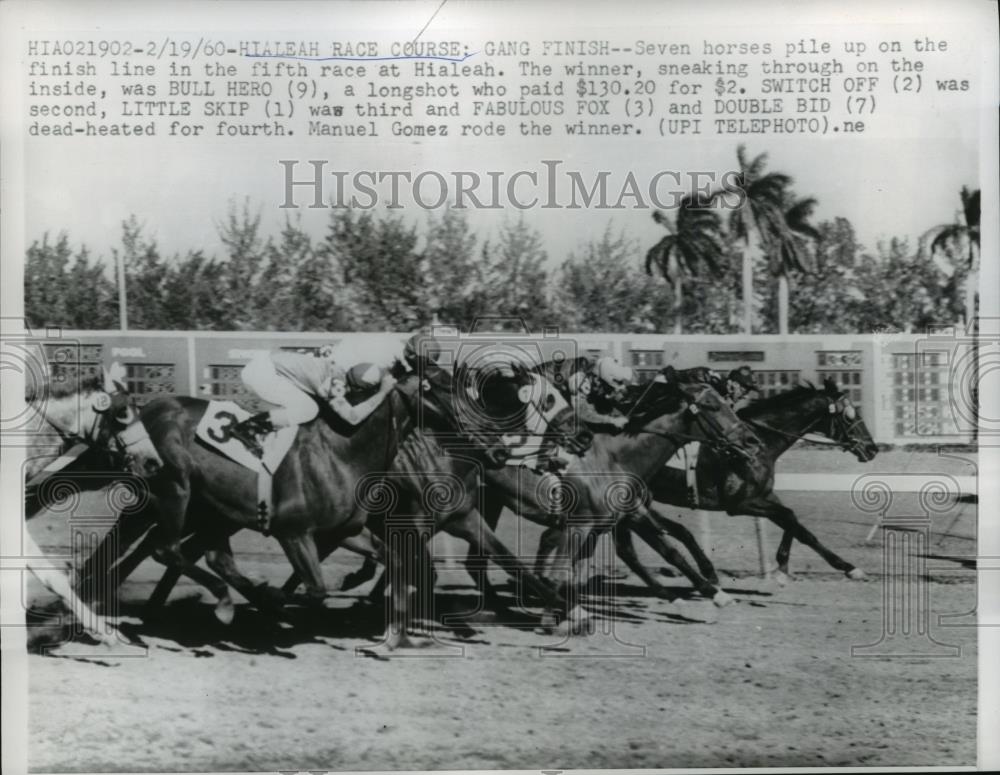 1960 Press Photo Hialeah Fla Bull Hero, Switch Off, Little Skip, Fabulous Fox - Historic Images