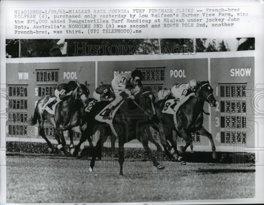 1961 Press Photo Hialeah Florida Wolfram wins vs Noholme II &amp; North Pole - Historic Images