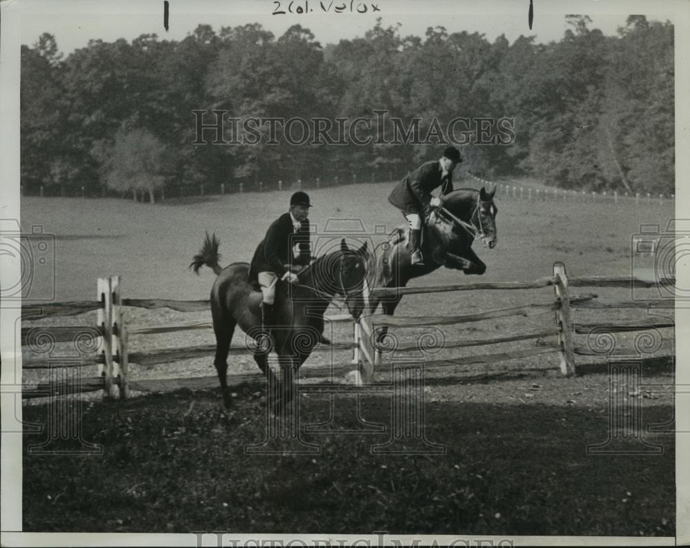 1933 Press Photo Sir Gilbert at Golden Jubilee National Horse Show NY - Historic Images