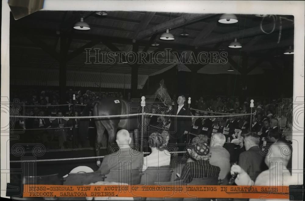 1940 Press Photo general view of yearling auction at Saratoga Sales Paddock - Historic Images