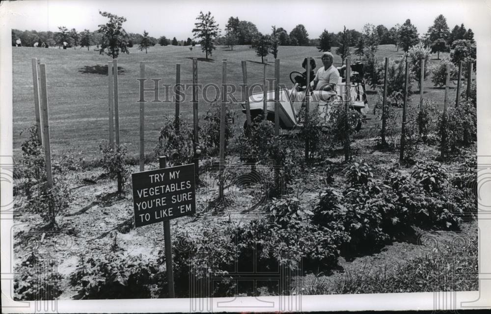 1976 Press Photo vegetable garden between 6th -7th green, Firestone Country Club - Historic Images