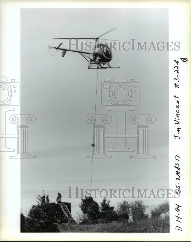 1994 Press Photo Christmas Trees Helicopter - orb04645 - Historic Images