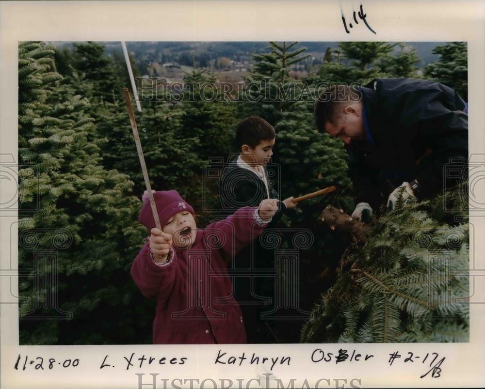 2000 Press Photo Christmas Trees - orb05134 - Historic Images