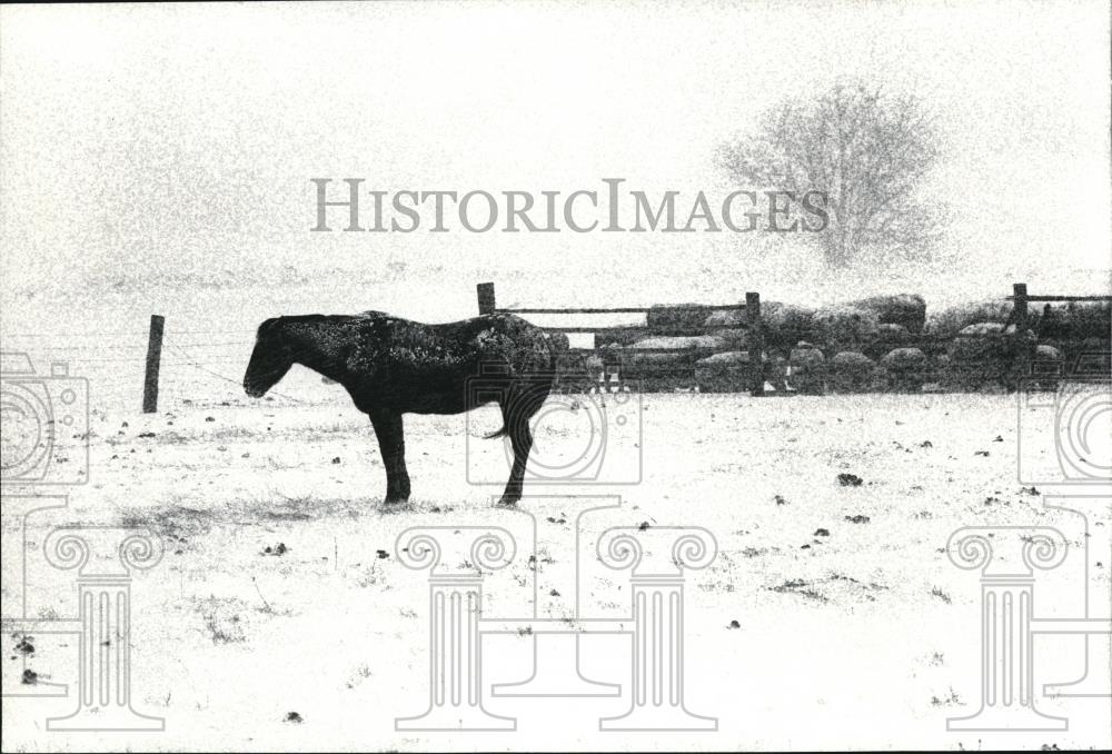 1984 Press Photo Weathering the Storm copyright photograph by Jerry Gildemeister - Historic Images
