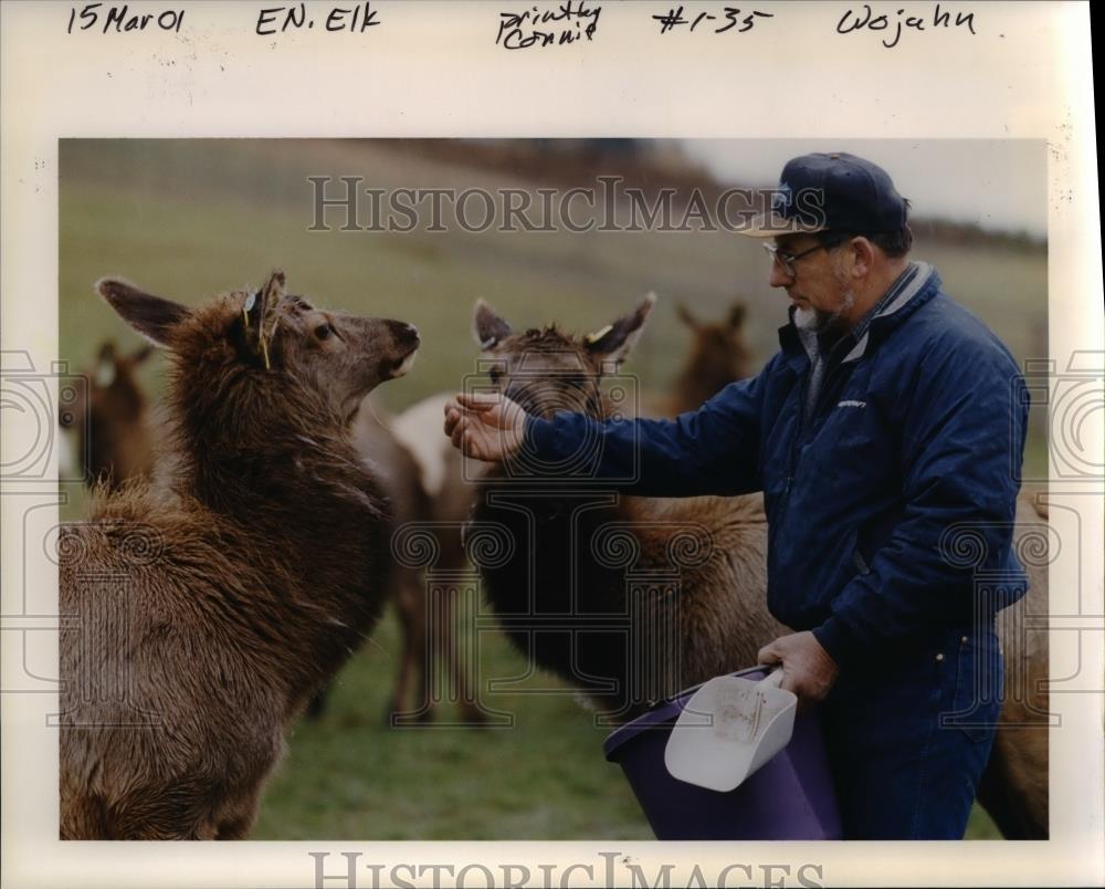 2001 Press Photo Elk in Oregon - orb11084 - Historic Images
