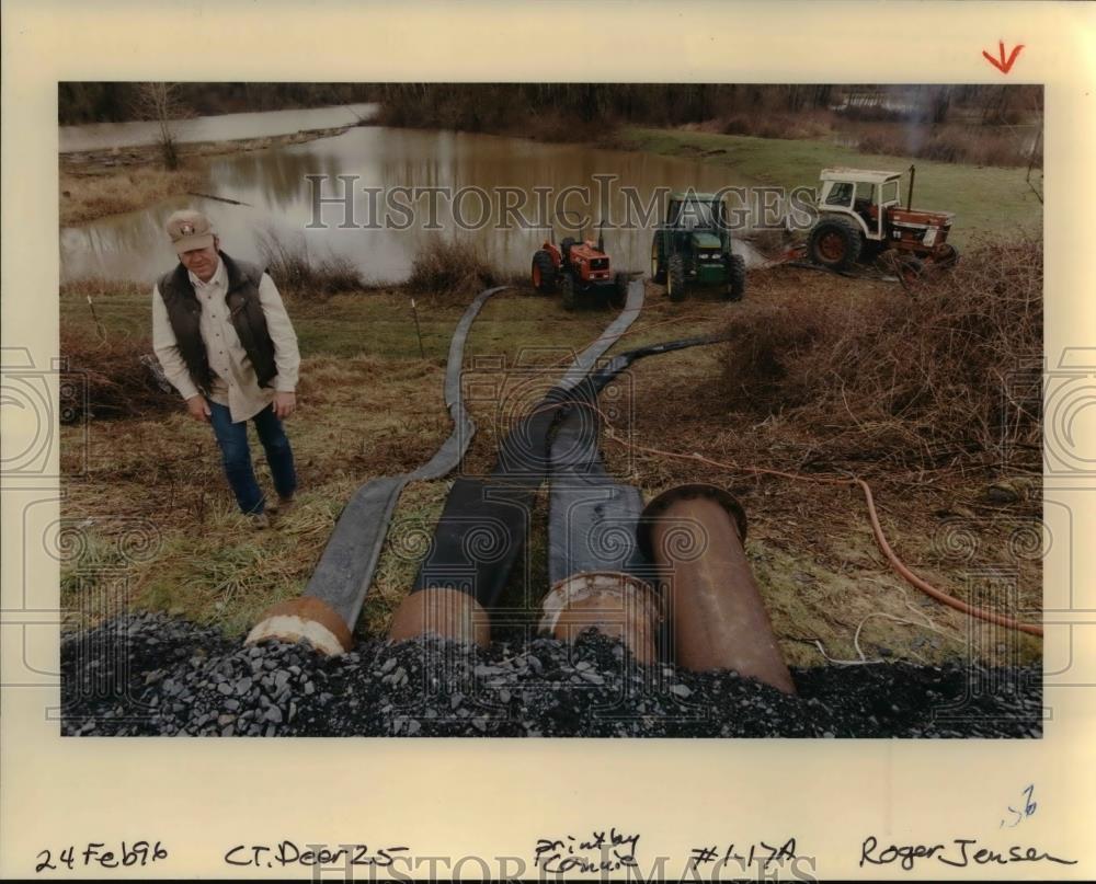 1996 Press Photo Flood in Deer Island at Oregon City - orb11916 - Historic Images