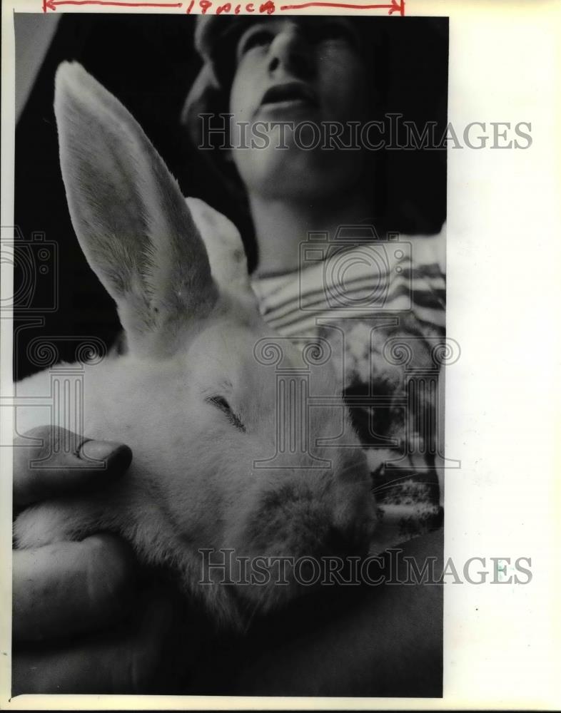 1980 Press Photo A Rabbit Yearling Snuggles Up to Owner Tim Safranski - Historic Images