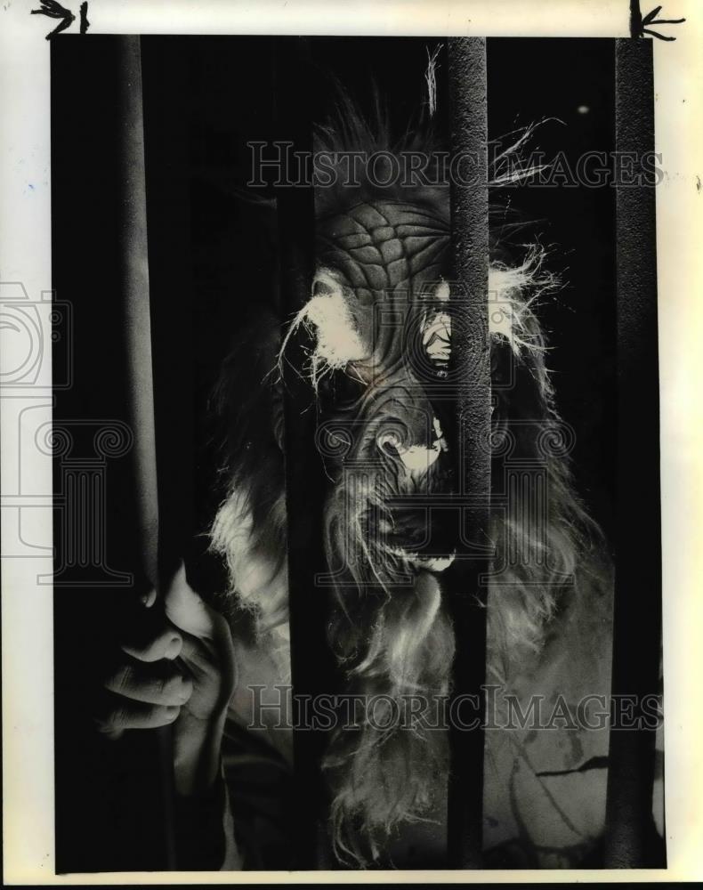 1979 Press Photo David Stanly calling himself Dr Derange - orb15305 - Historic Images